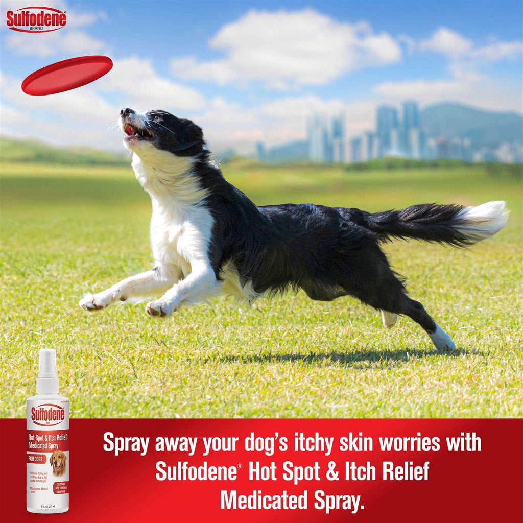 Hot Spot & Itch Relief Medicated Spray M997