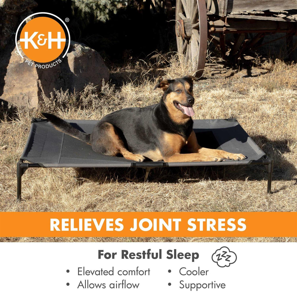 Realtree Pet Cot I606