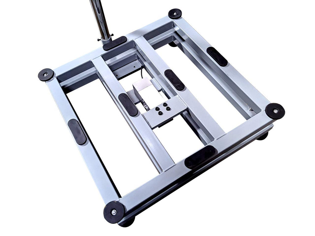 Stainless Steel Bench Scale with NTEP Approval Indicator S46544