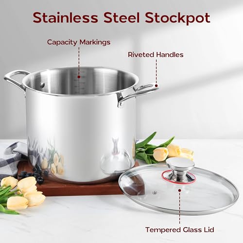 18/10 Stainless Steel 8 Quart Stock Pot with Lid Tri-Ply Induction Pot Y76704