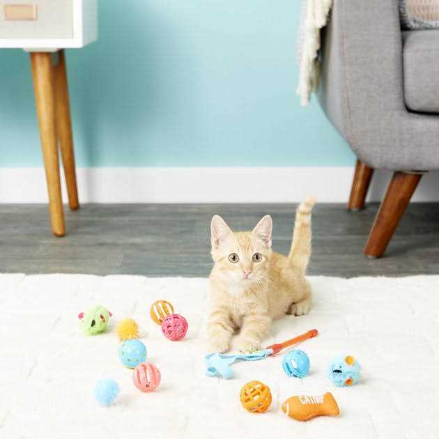 Cat Toy Variety Pack I6889
