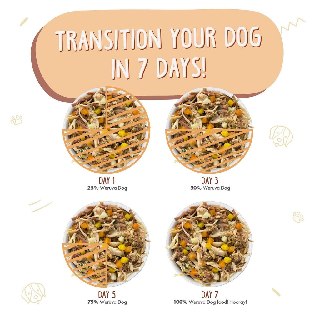 Dog Pet Supplies C964