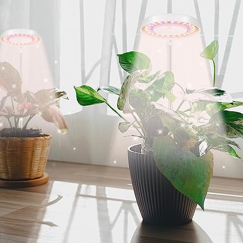 2 Pack LED Grow Light with Timer L5933