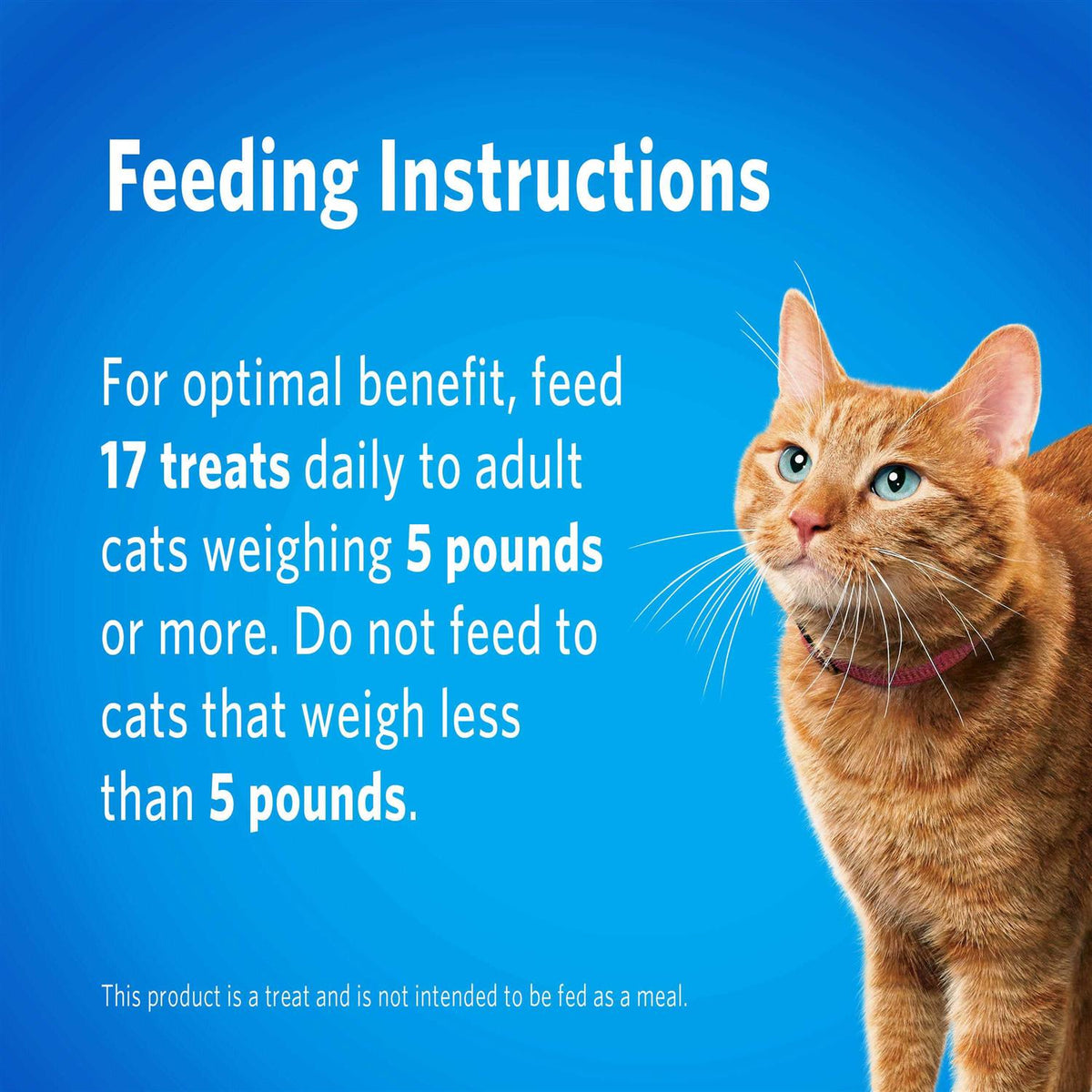 Cat Dental Treats X4794
