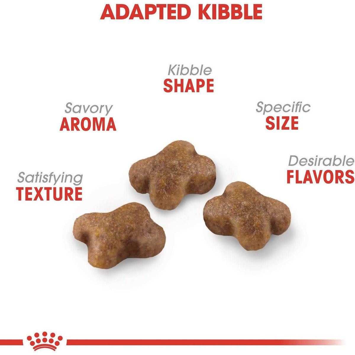 Kitten Dry Food C446143