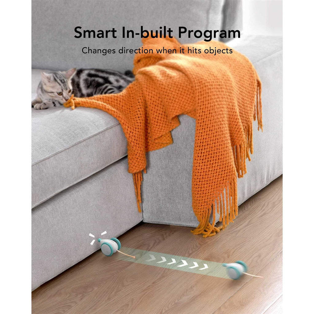 Interactive Cat Toys with LED Lights A183