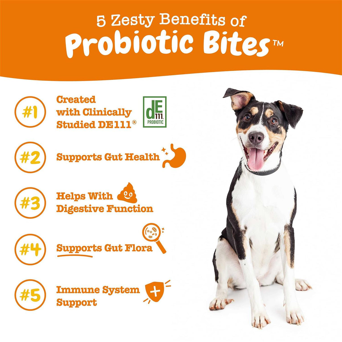 Probiotic Bites Digestive Supplement for Dogs Chicken 90 Soft Chews H817