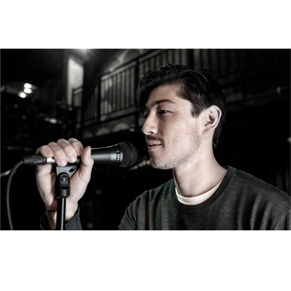 Cardioid Dynamic Vocal Microphone R950