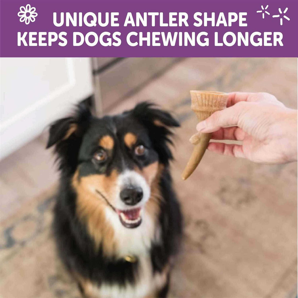 Dog Chews Value Bag I752525