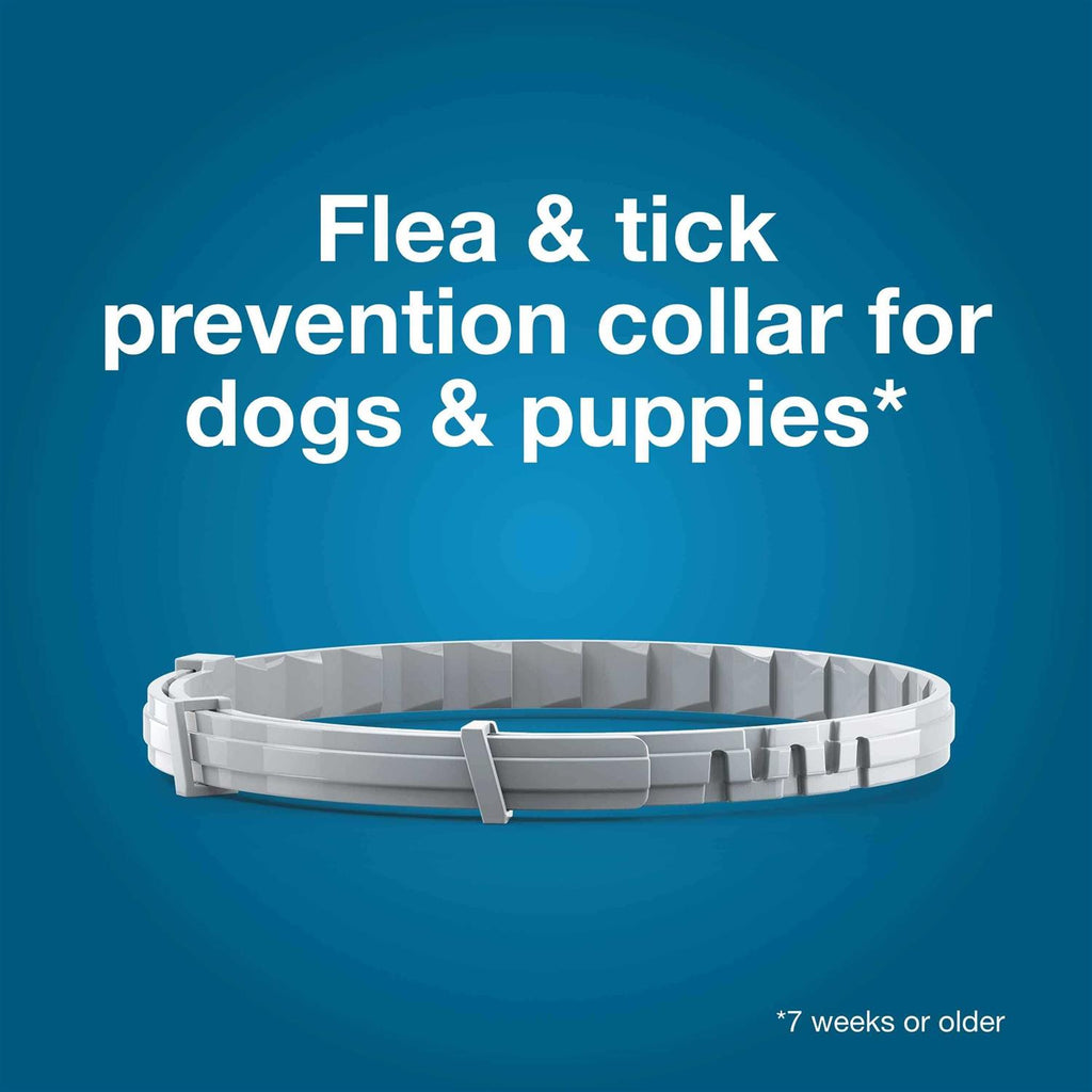 Flea and Tick Collar for Dogs D17949