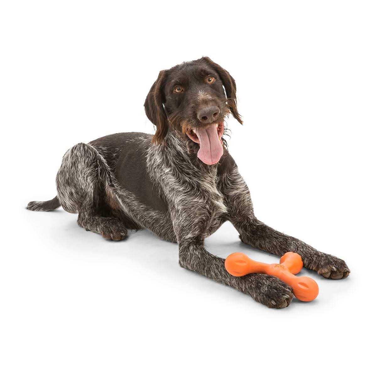Dog Toy B675