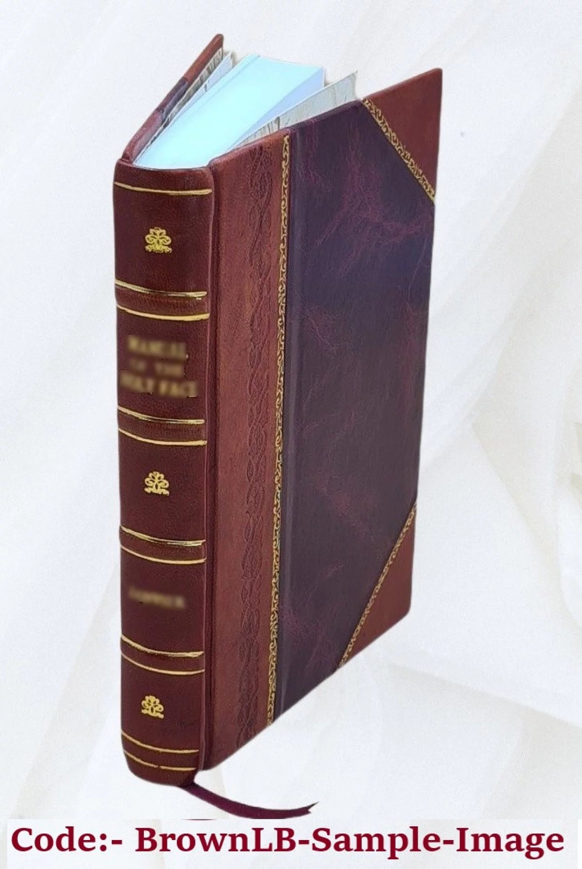 Home Goods S725030