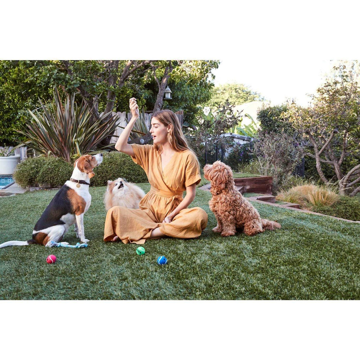 Beef Recipe Savory Sticks Dog Treats D3973