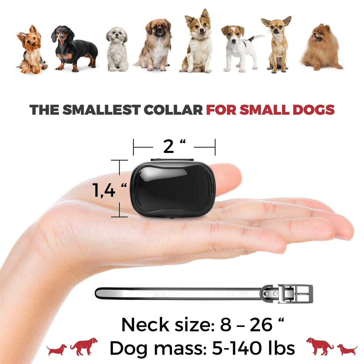 Extra Small Dog Training Collar with Remote I8419