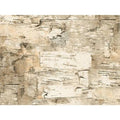 Paper Birch Gift Wrap Roll P452712