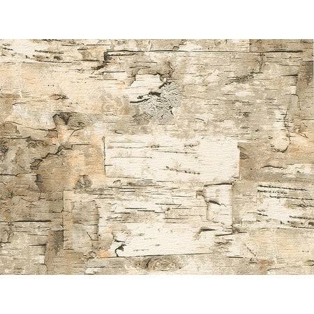 Paper Birch Gift Wrap Roll P452712