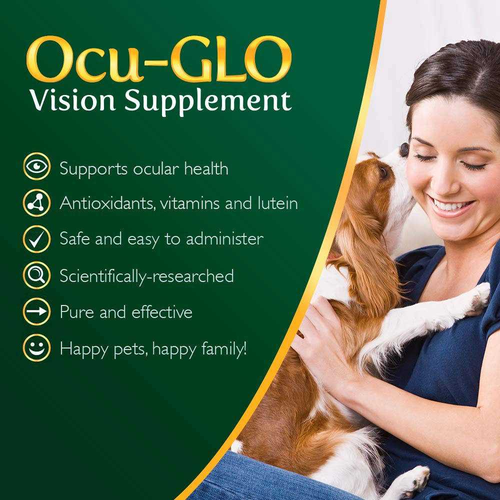 Powder Blend Vision Supplement for Dogs H880619