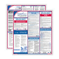 Kansas English Federal/State Labor Law Poster Service X69062
