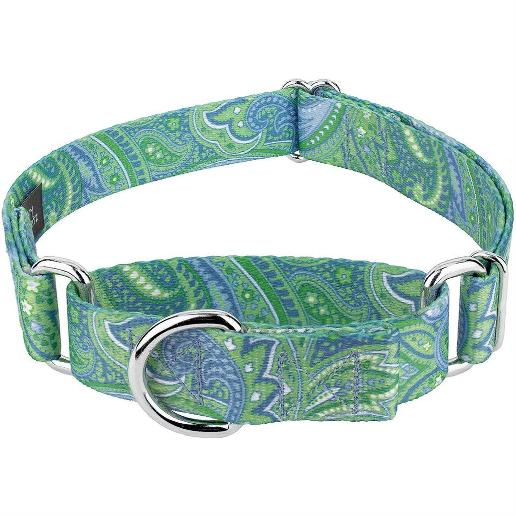 Martingale Dog Collar E619