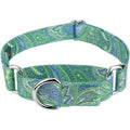 Martingale Dog Collar E619