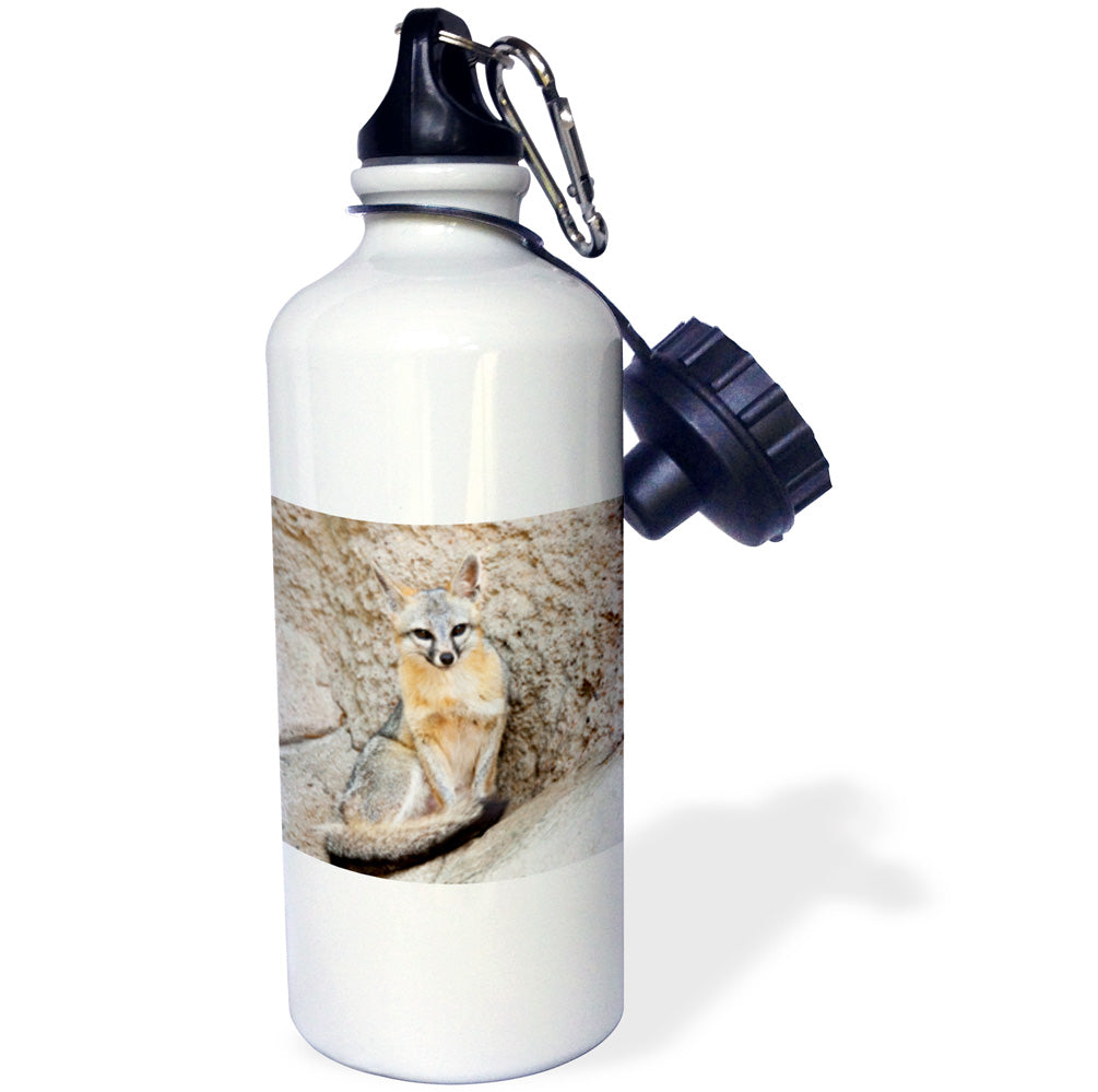 Gray Fox Water Bottle, 21-ounce J473803