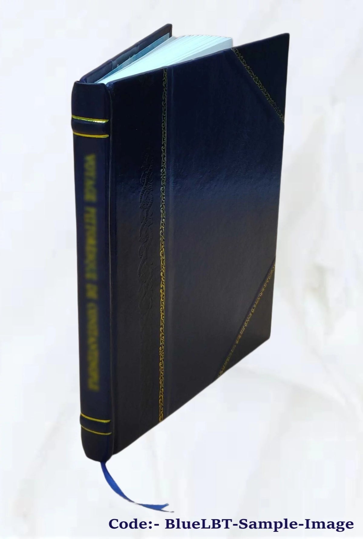 1915 Seed Catalogue Leather Bound Q5224