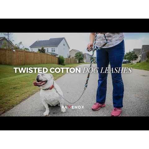 Dog Leash with Chain X606