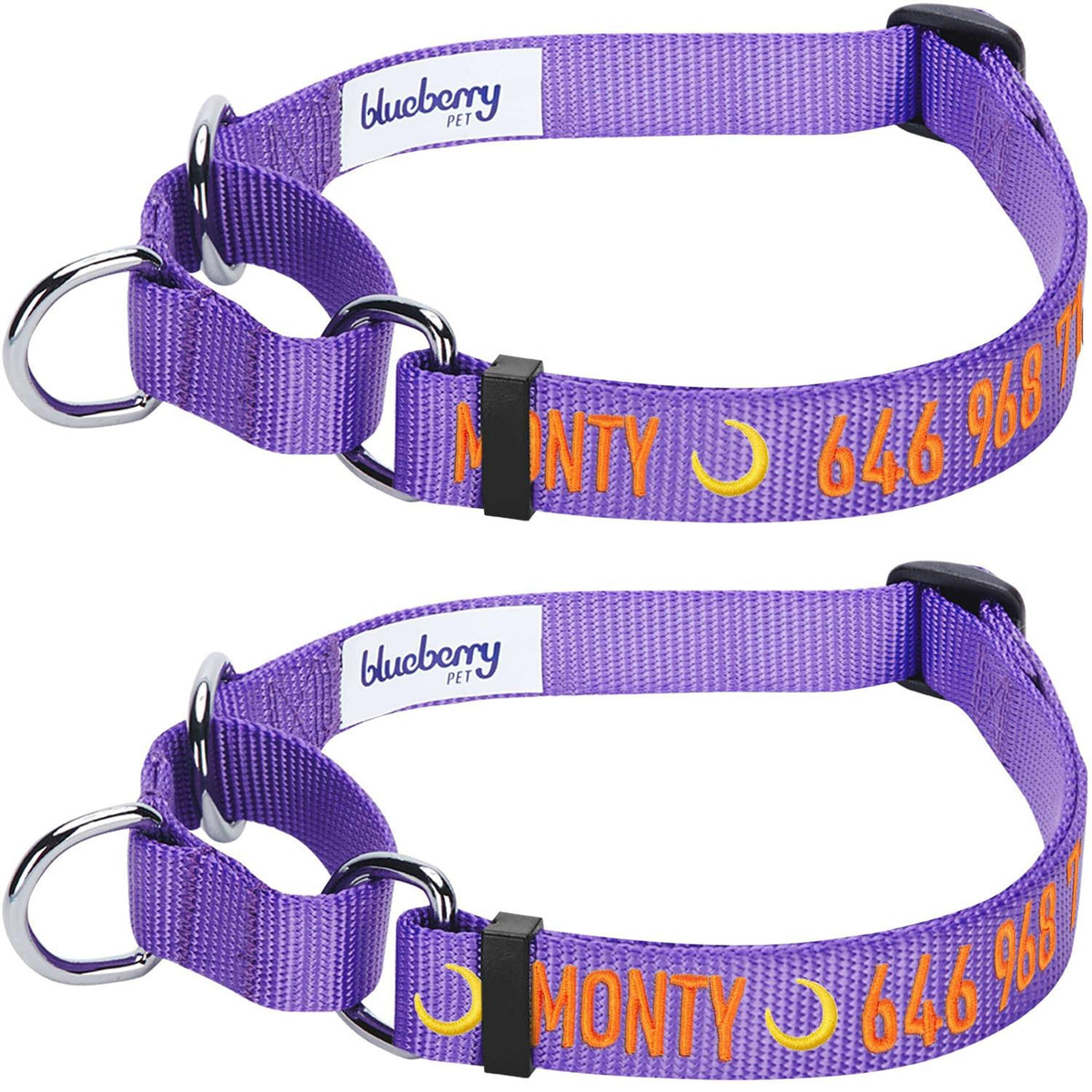Martingale Safety Training Dog Collar O266