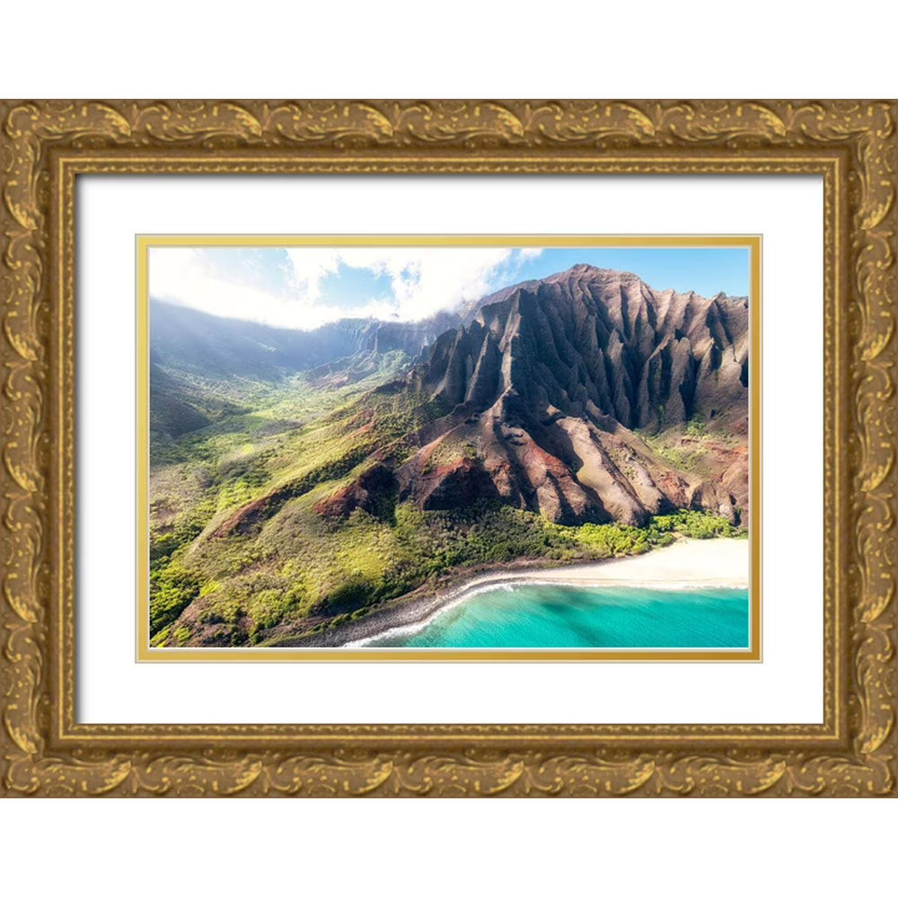Gold Ornate Wood Framed Museum Art Print C666340