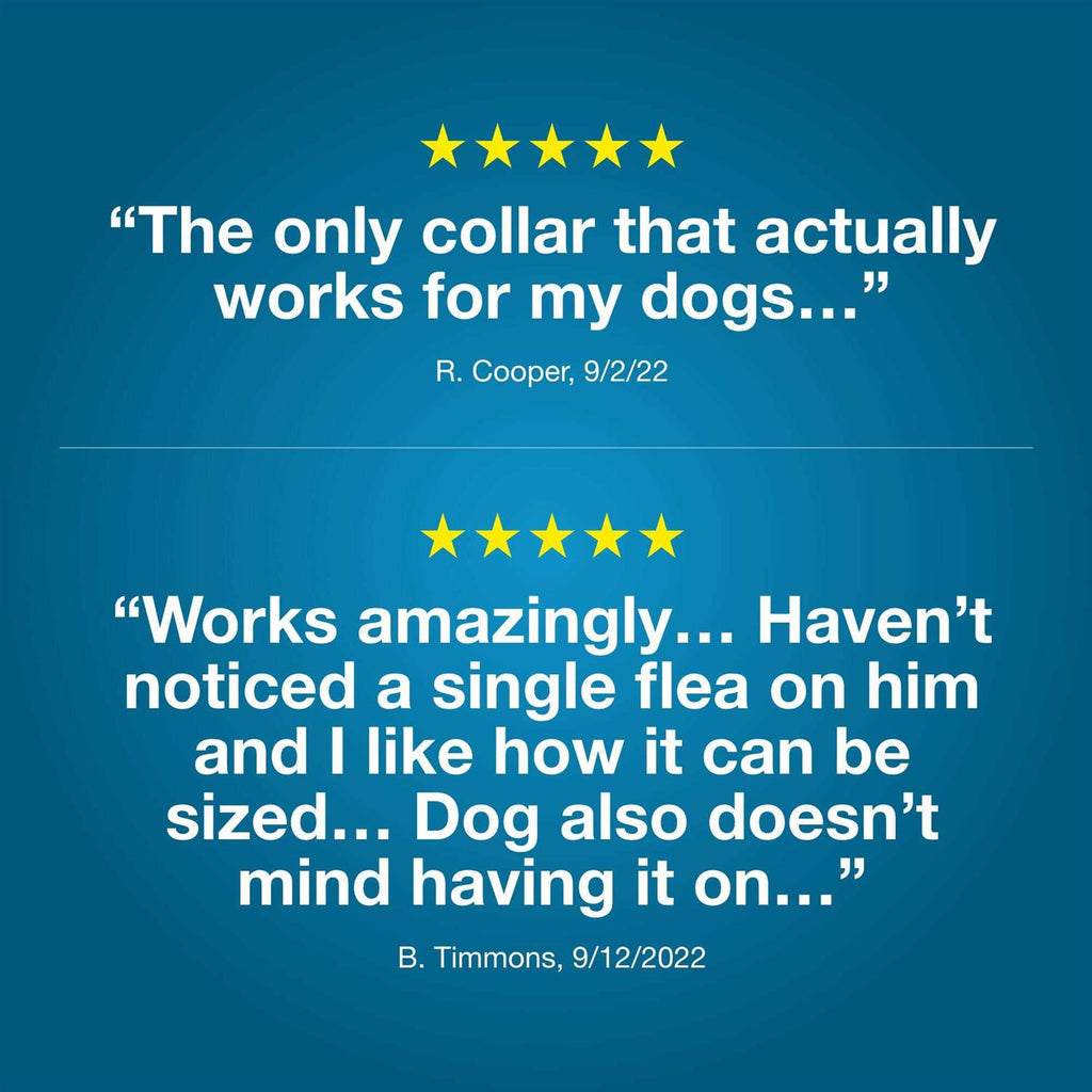 Flea and Tick Collar for Dogs D17949