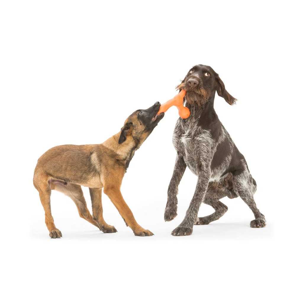 Dog Toy B675