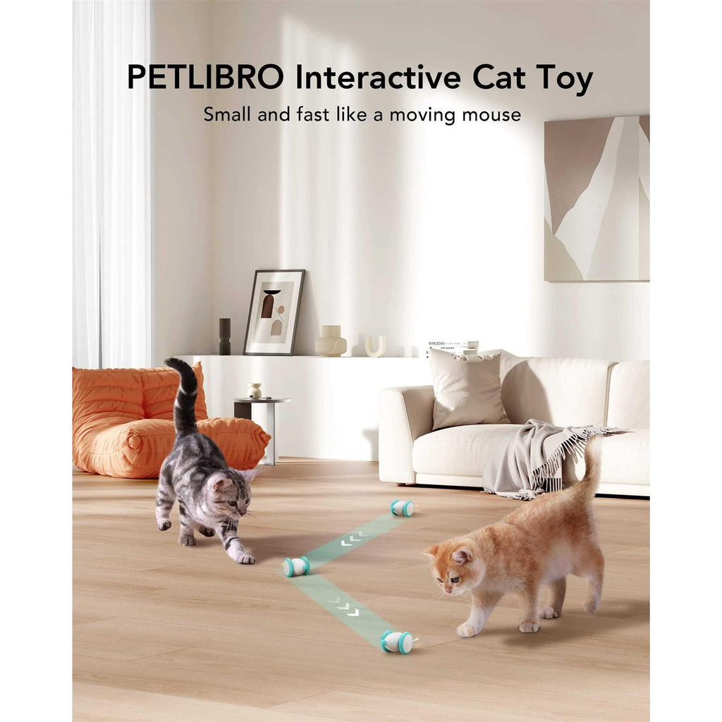 Interactive Cat Toys with LED Lights A183