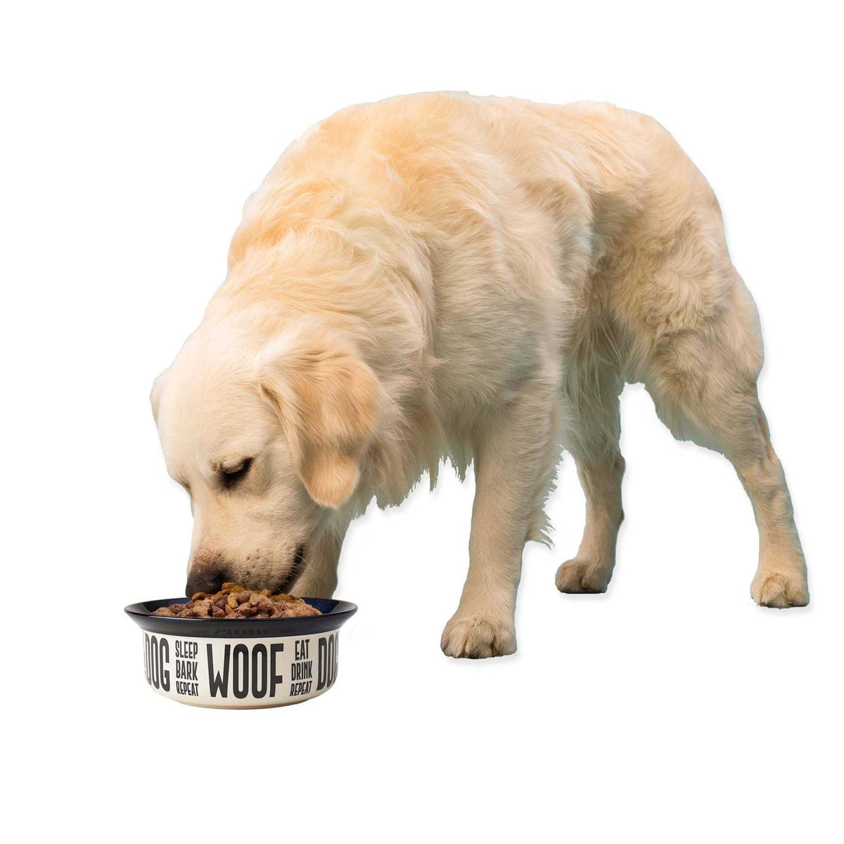 Stoneware Dog Bowl I910721