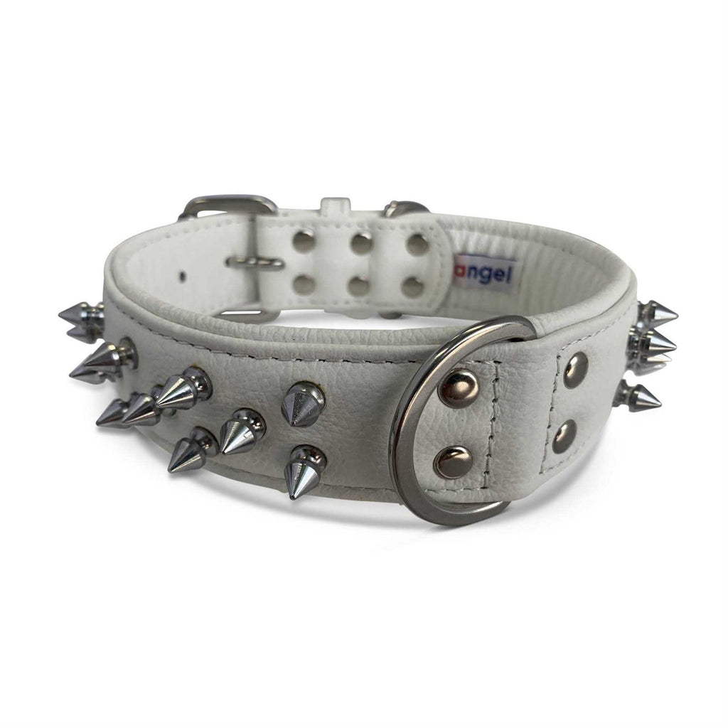 Dog Collar W59072