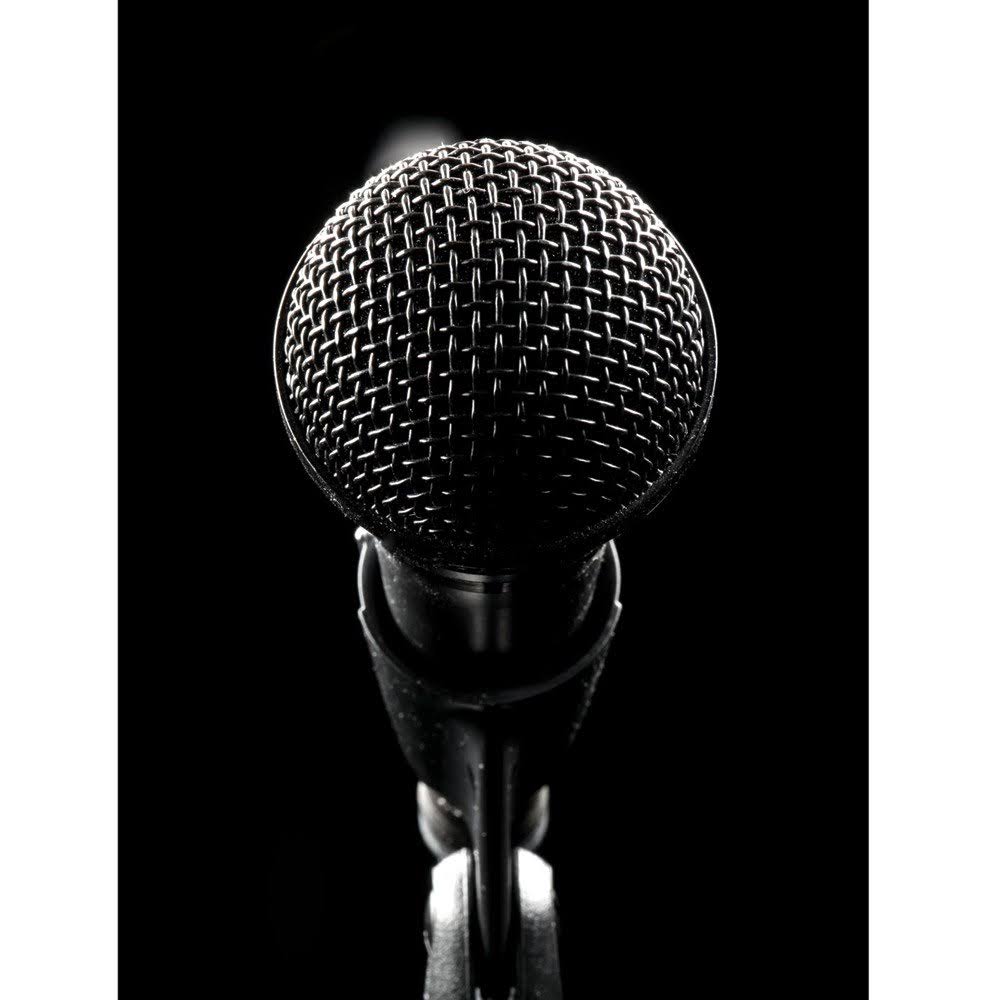 Cardioid Dynamic Vocal Microphone R950