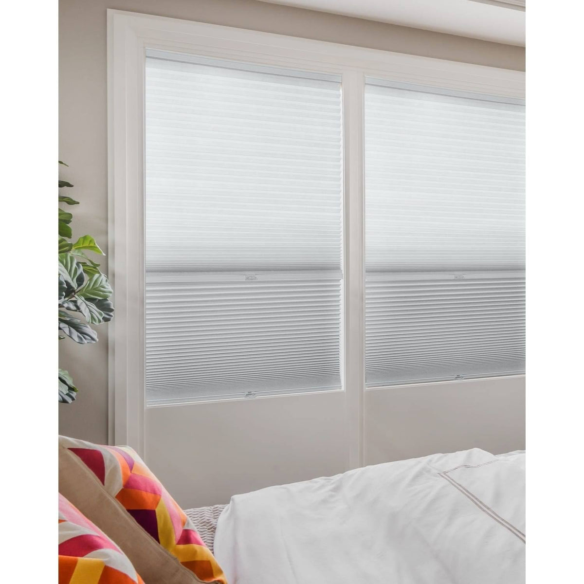 Cordless Cellular Shades P843
