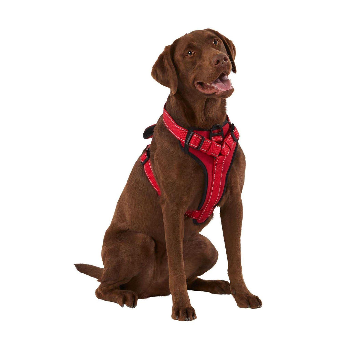 Neoprene Padded Dog Harness Z73202