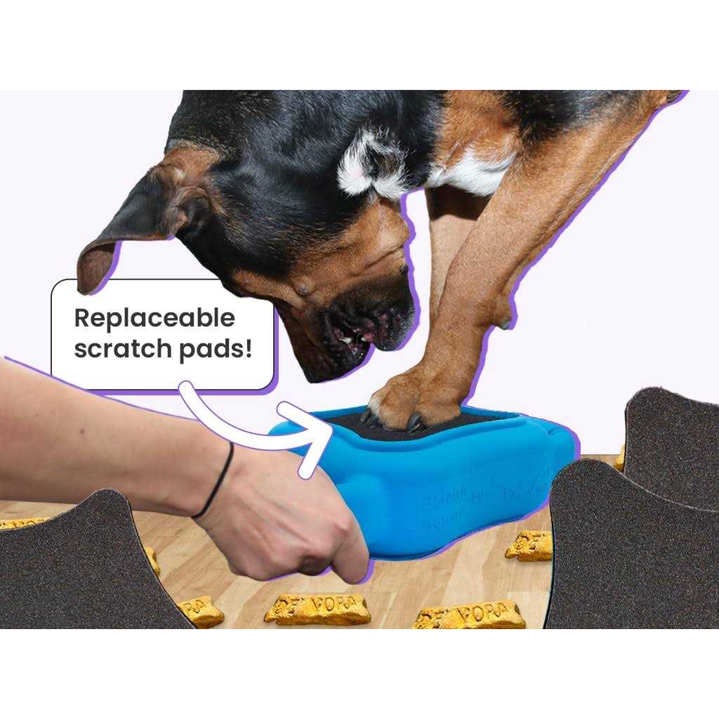 Square Dog & Cat Grooming Toy F209254