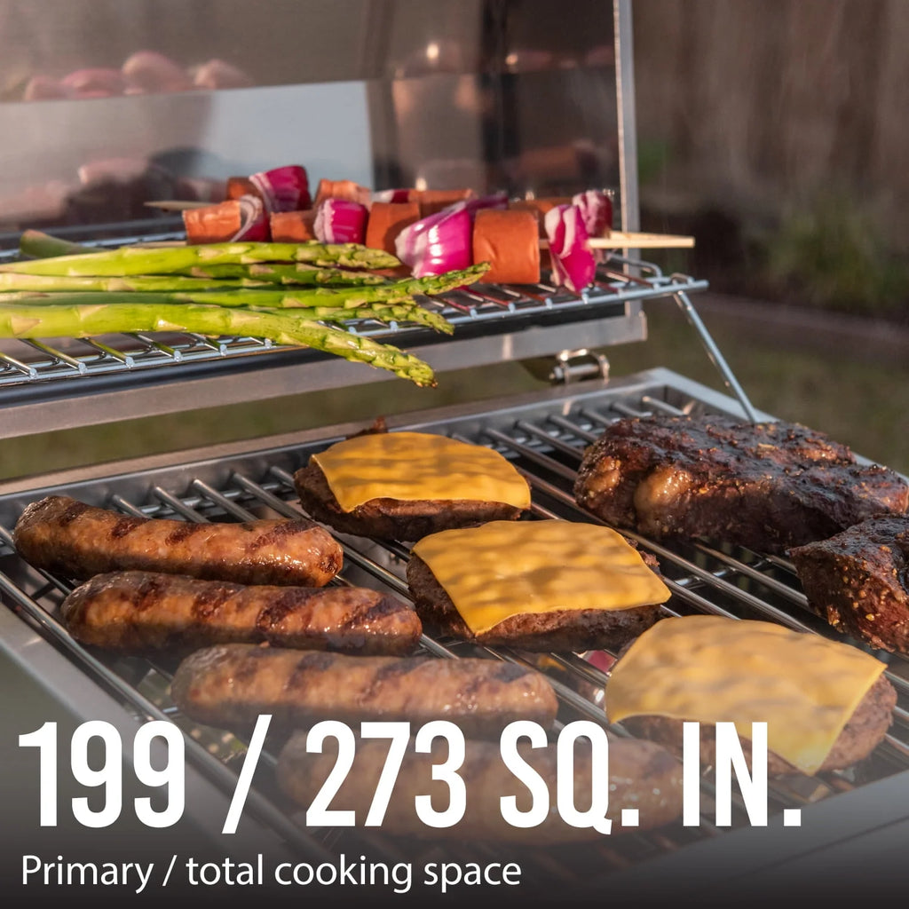 2 Burner Stainless Steel Propane Gas Grill Z115615