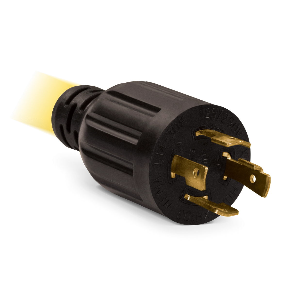 25-Foot 30-Amp Generator Extension Cord B23189