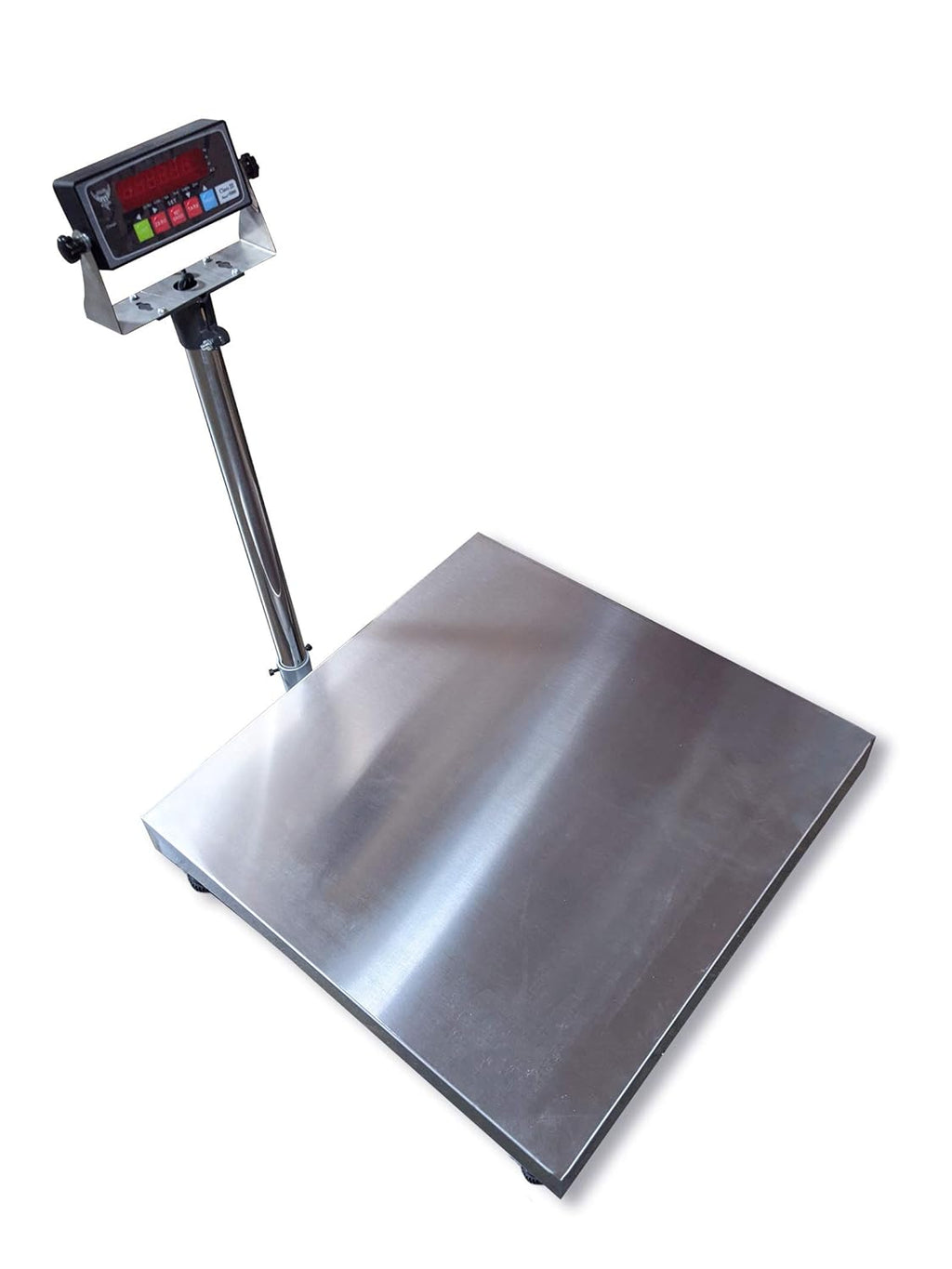Stainless Steel Bench Scale with NTEP Approval Indicator S46544
