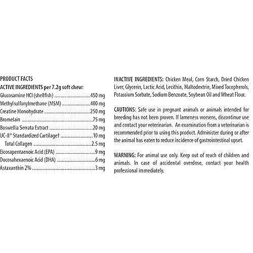 Joint Support Dog Supplement O202