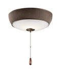 1 LED Bluetooth Audio Light Kit Satin Natural Bronze S6132