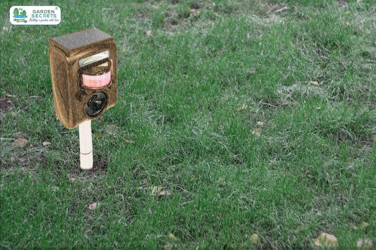 Compact Solar Ultrasonic Animal Repellent T497832