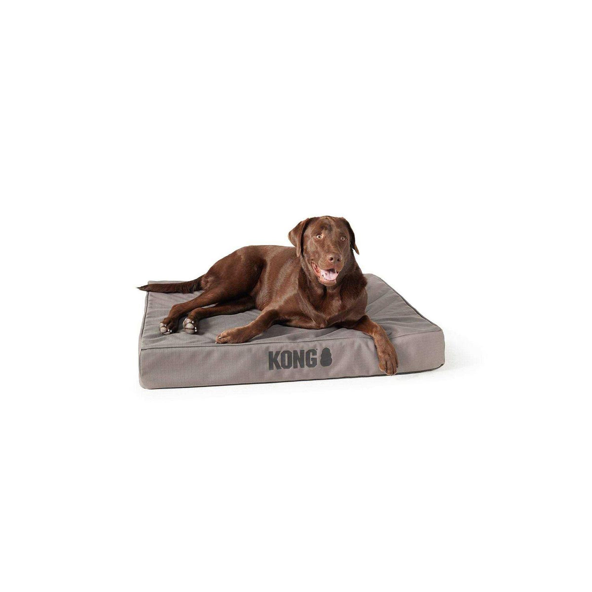 Gray Orthopedic Pet Bed D28507