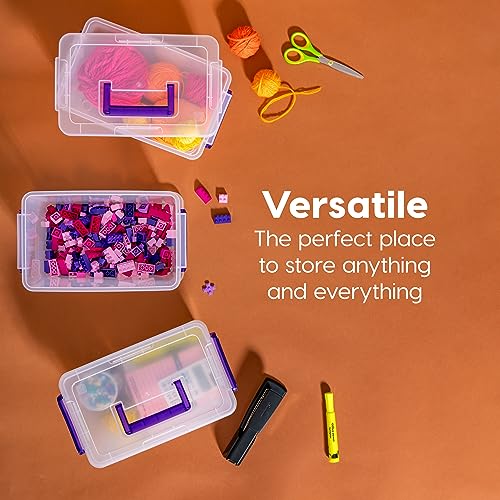 6 Pack Clear Plastic Storage Bins with Lids T790