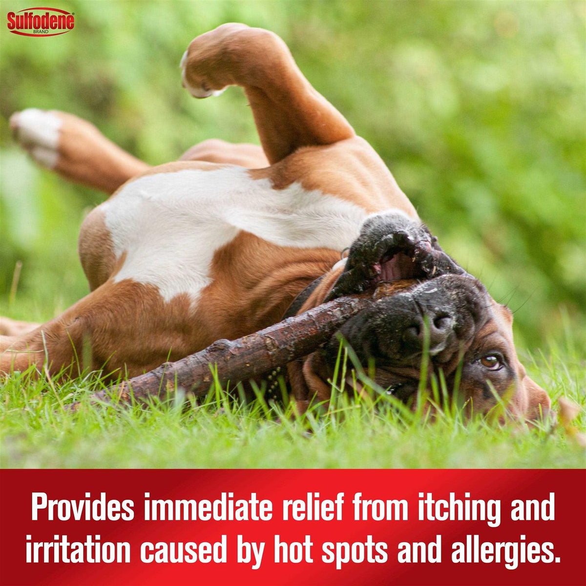 Hot Spot & Itch Relief Medicated Spray M997
