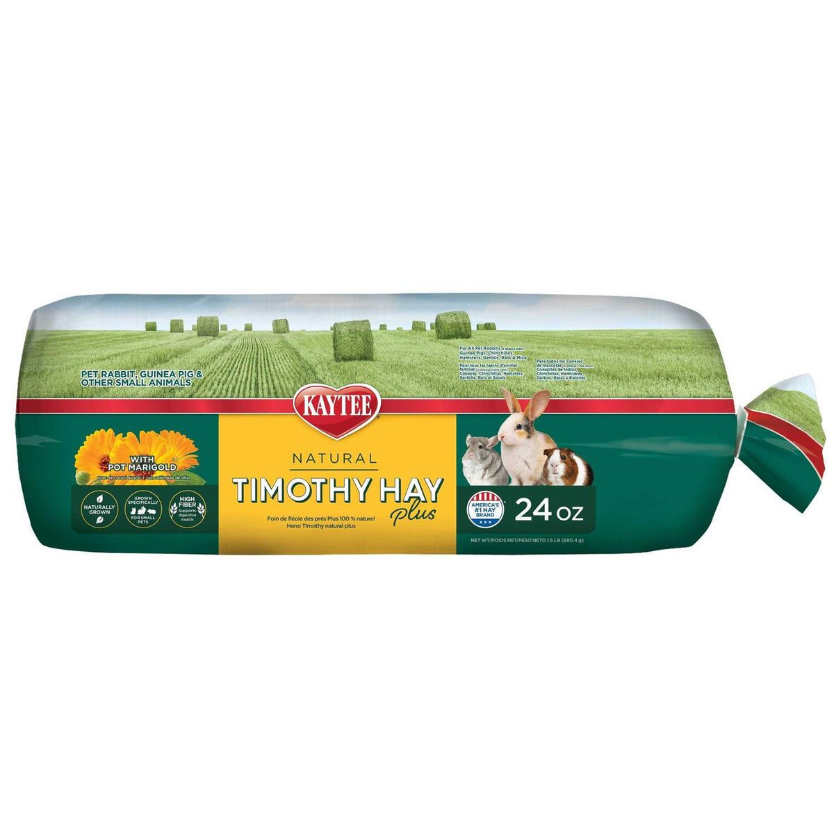 Timothy Hay T5973