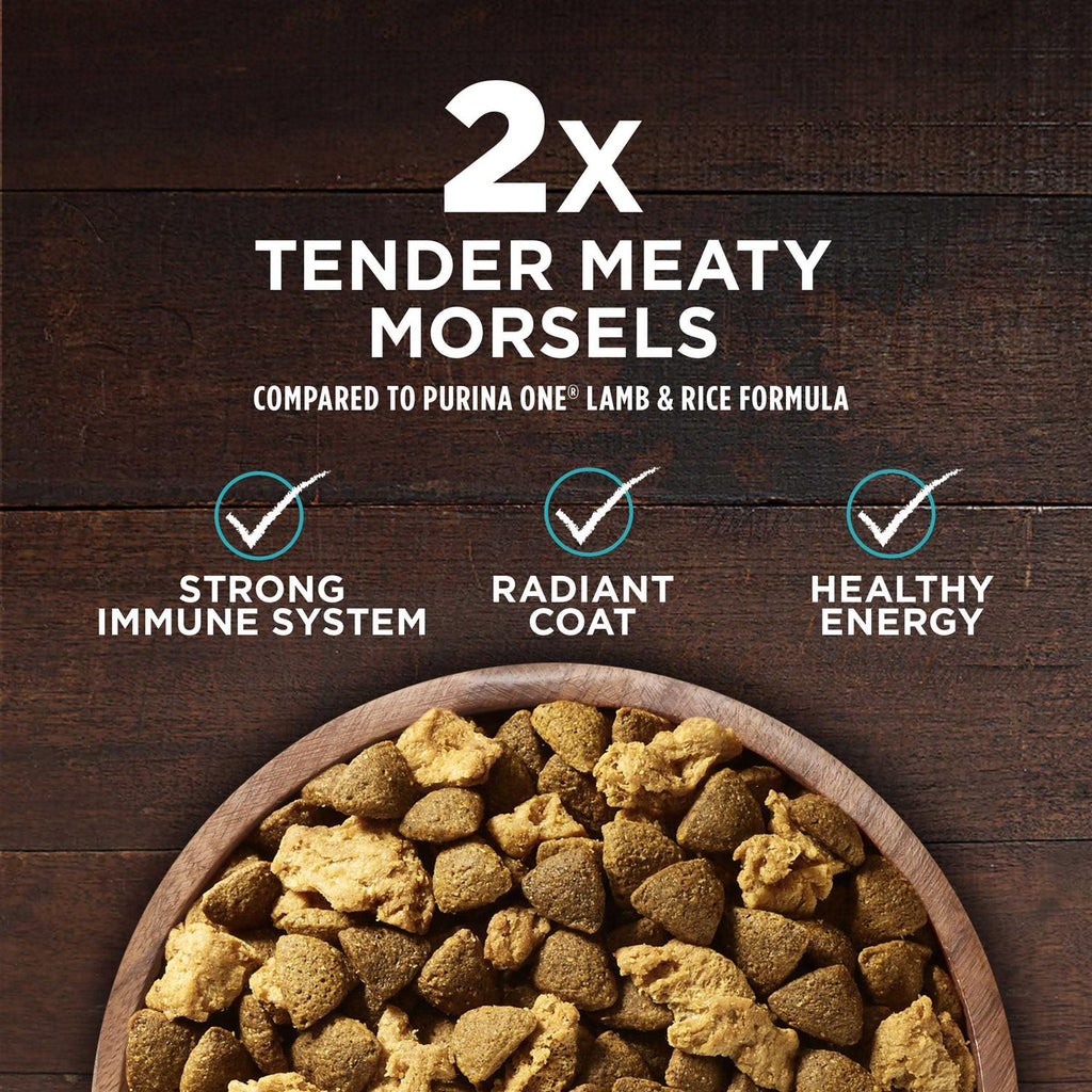 Salmon and Tuna Dry Dog Food I29389