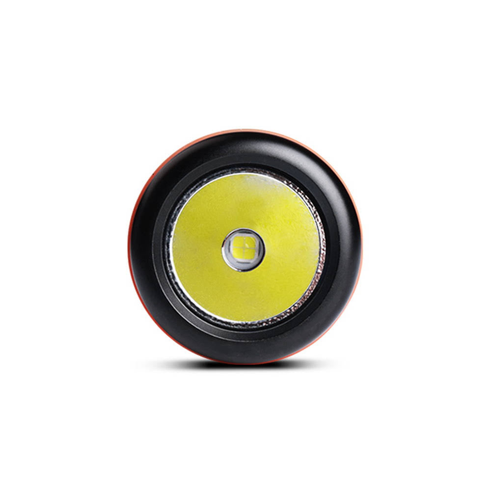 2700 Lumens Canister Light P95695